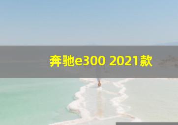 奔驰e300 2021款